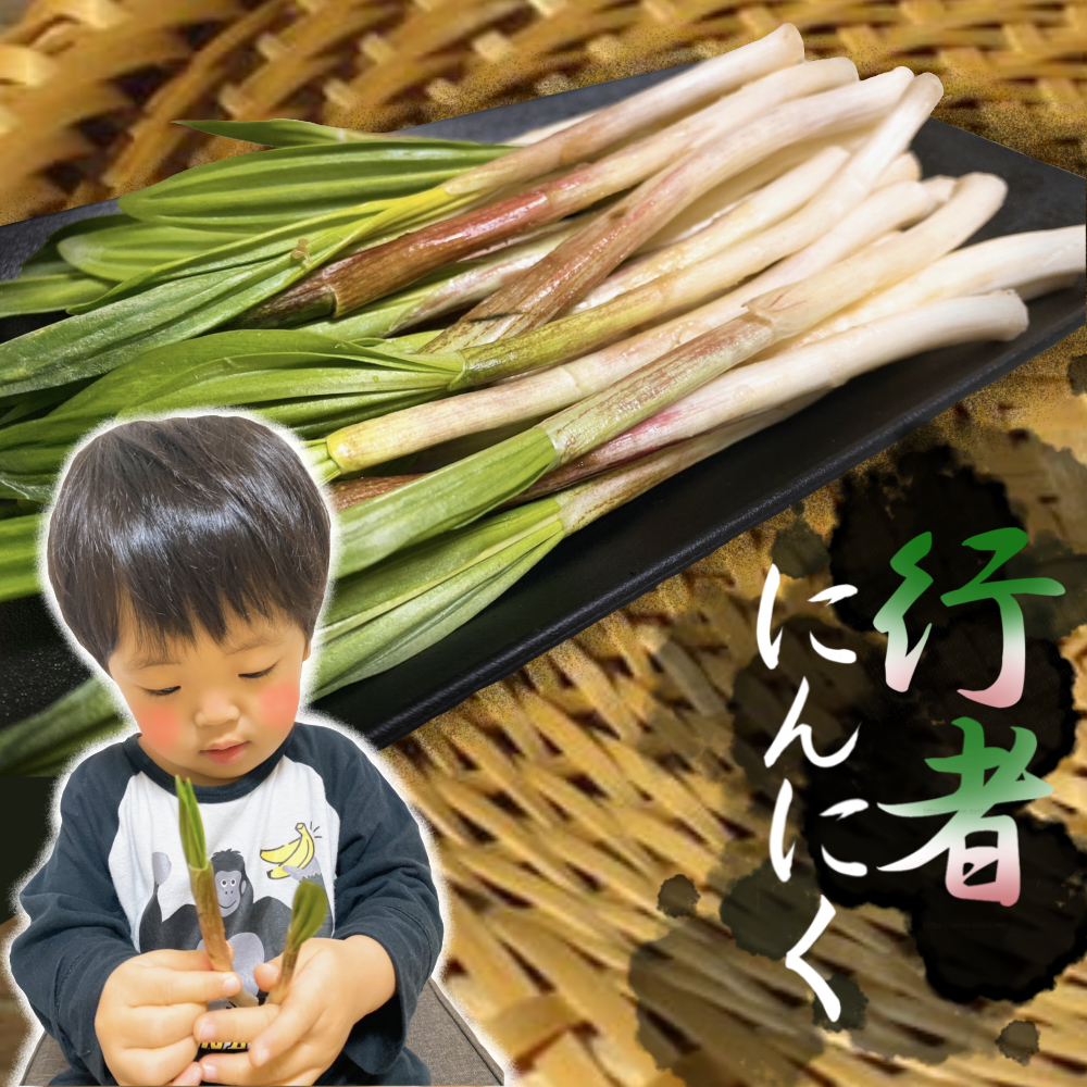 行者にんにく(500g)