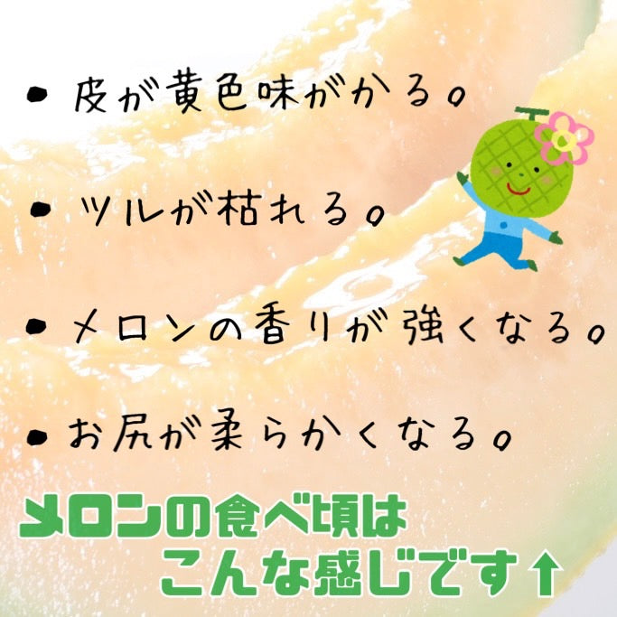 夕張メロン優品(5玉入り×1ケース)