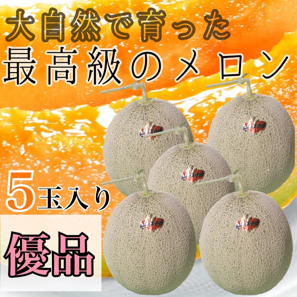 夕張メロン優品(5玉入り×1ケース)