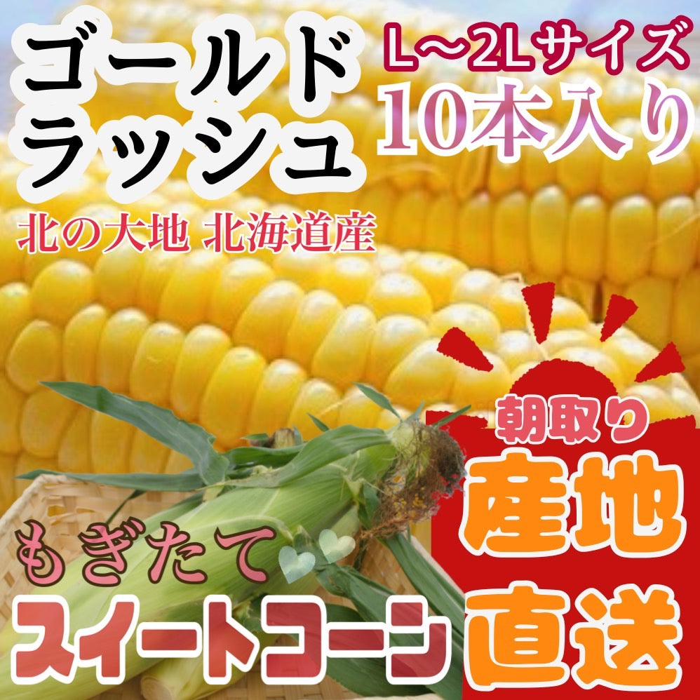 とうもろこしゴールドラッシュ(L~2L 10本入り)