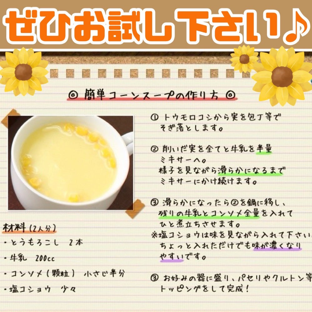 とうもろこしゴールドラッシュ(L~2L 20本入り)