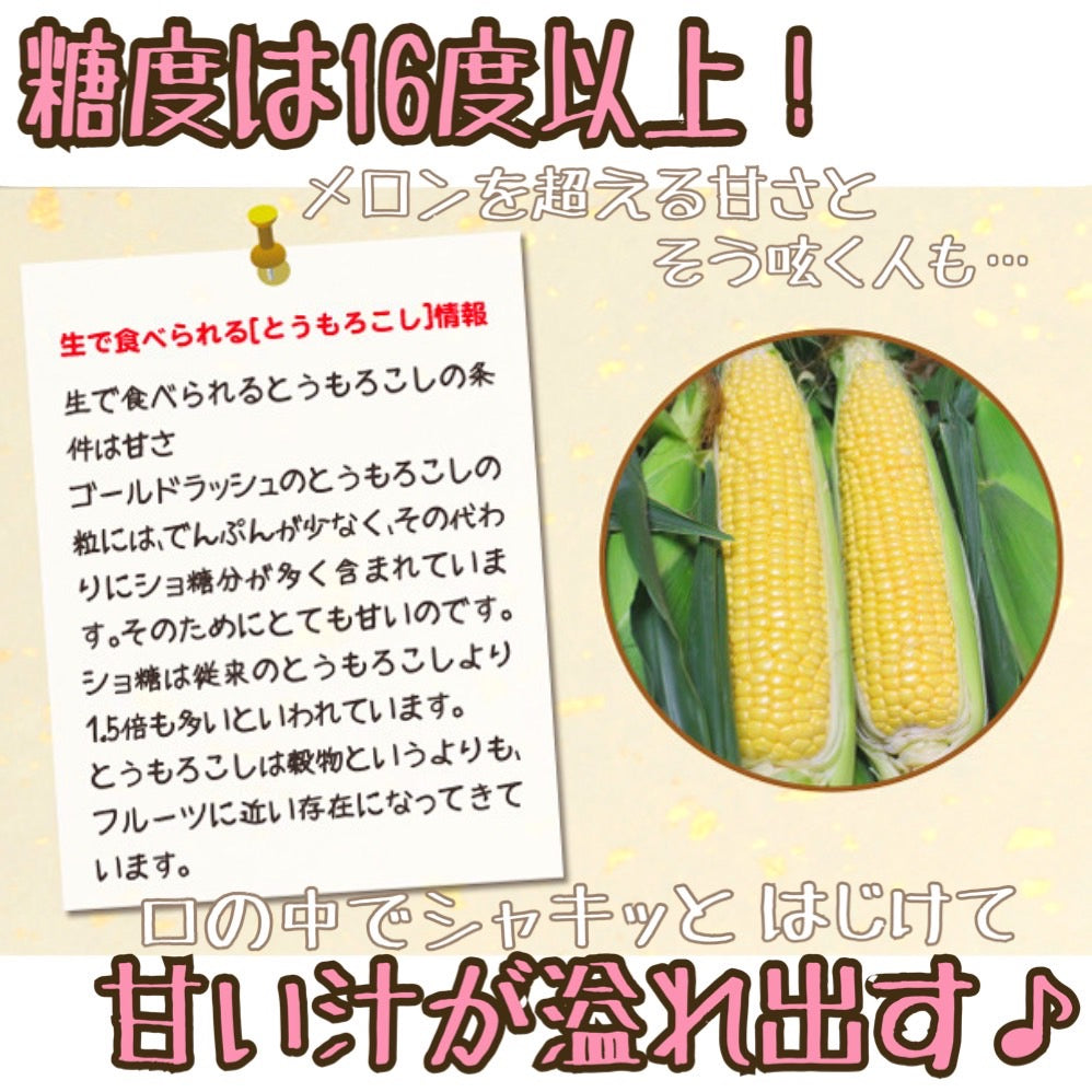 とうもろこしゴールドラッシュ(L~2L 20本入り)