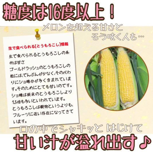 【予約受付中】とうもろこしゴールドラッシュ(L~2L 10本入り)