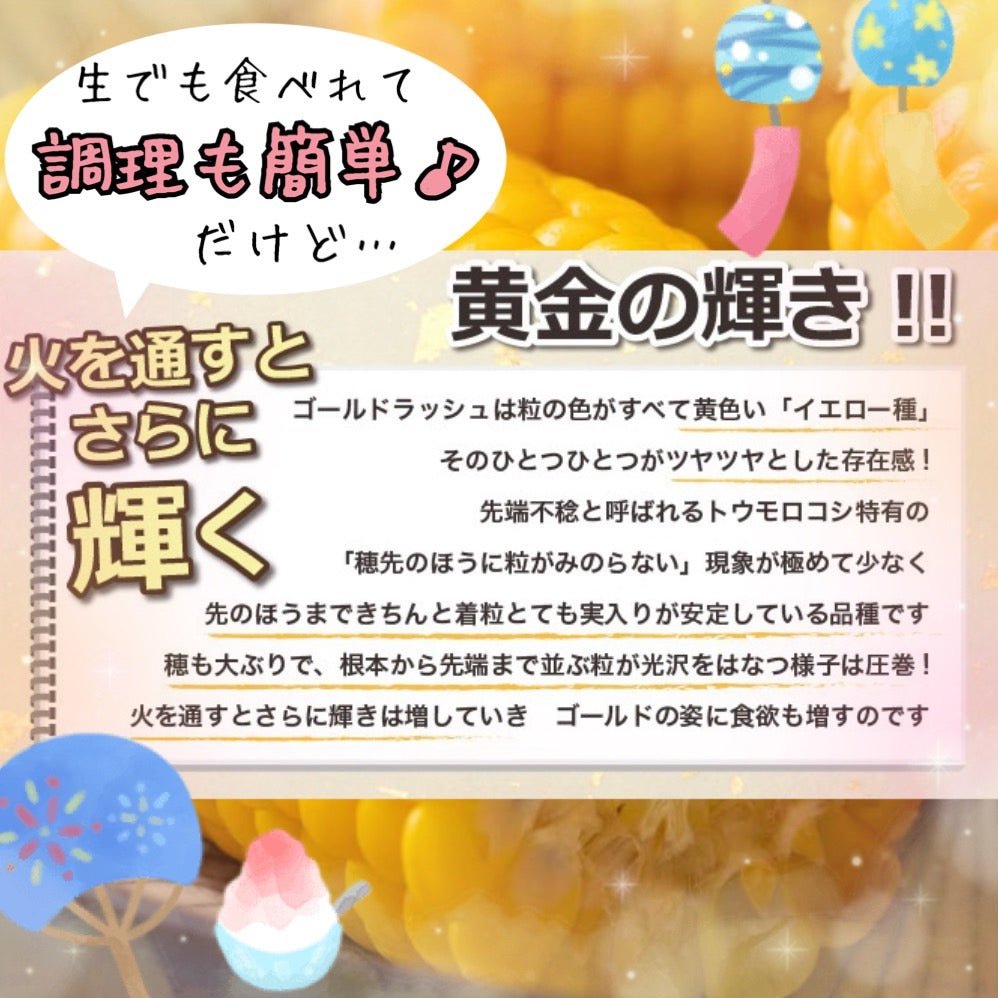 とうもろこしゴールドラッシュ(L~2L 20本入り)