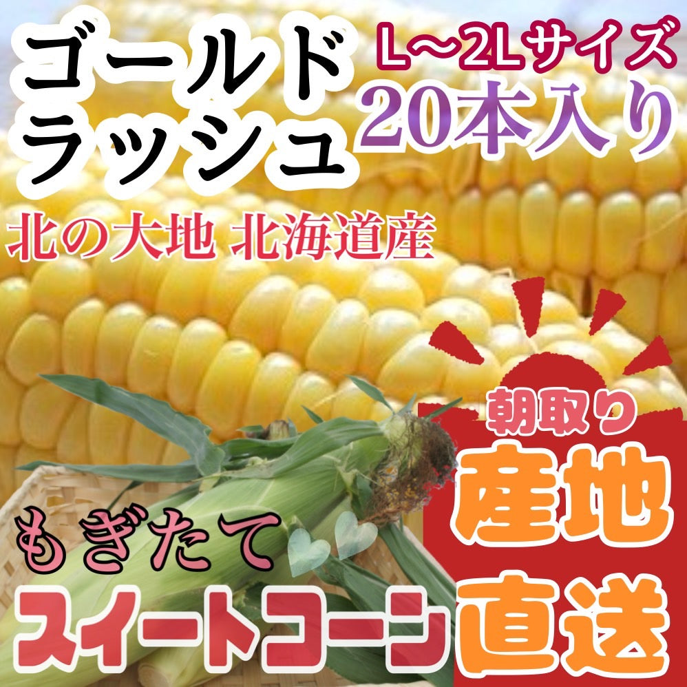 とうもろこしゴールドラッシュ(L~2L 20本入り)