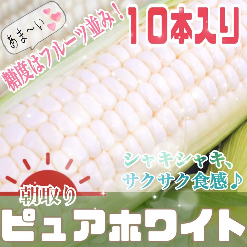 ピュアホワイト(L~2Lサイズ混合10本入り)
