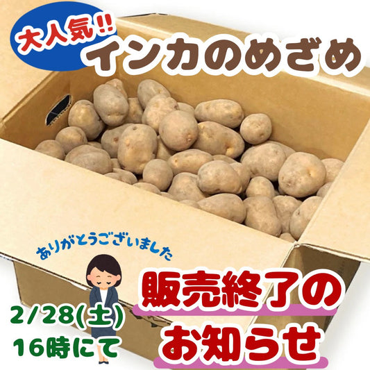 インカのめざめ今季販売終了のお知らせ。