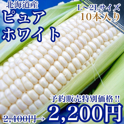 【予約受付中】ピュアホワイト（L～2Lサイズ混合10本入り）