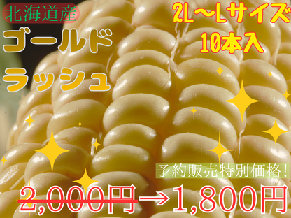 【予約受付中】とうもろこしゴールドラッシュ（L～2L 10本入り）