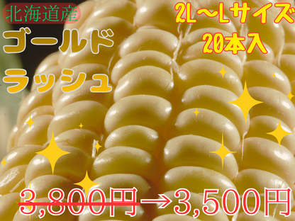【予約受付中】とうもろこしゴールドラッシュ（L～2L 20本入り）