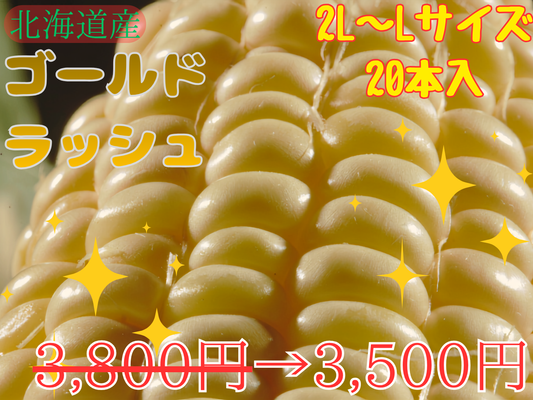 【予約受付中】とうもろこしゴールドラッシュ（L～2L 20本入り）