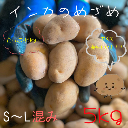 インカのめざめ（S～Lサイズ混合５ｋｇ）