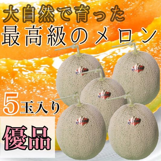 夕張メロン優品（5玉入り×1ケース）
