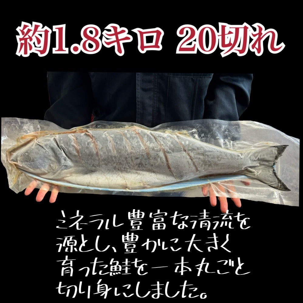 【北海道産】新巻鮭切り身 1本姿（約1.8ｋｇ）