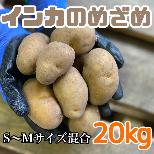 インカのめざめ（S～Mサイズ混合20ｋｇ）