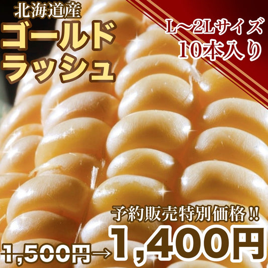 【予約受付中】とうもろこしゴールドラッシュ（L～2L 10本入り）