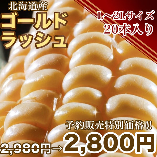 【予約受付中】とうもろこしゴールドラッシュ（L～2L 20本入り）