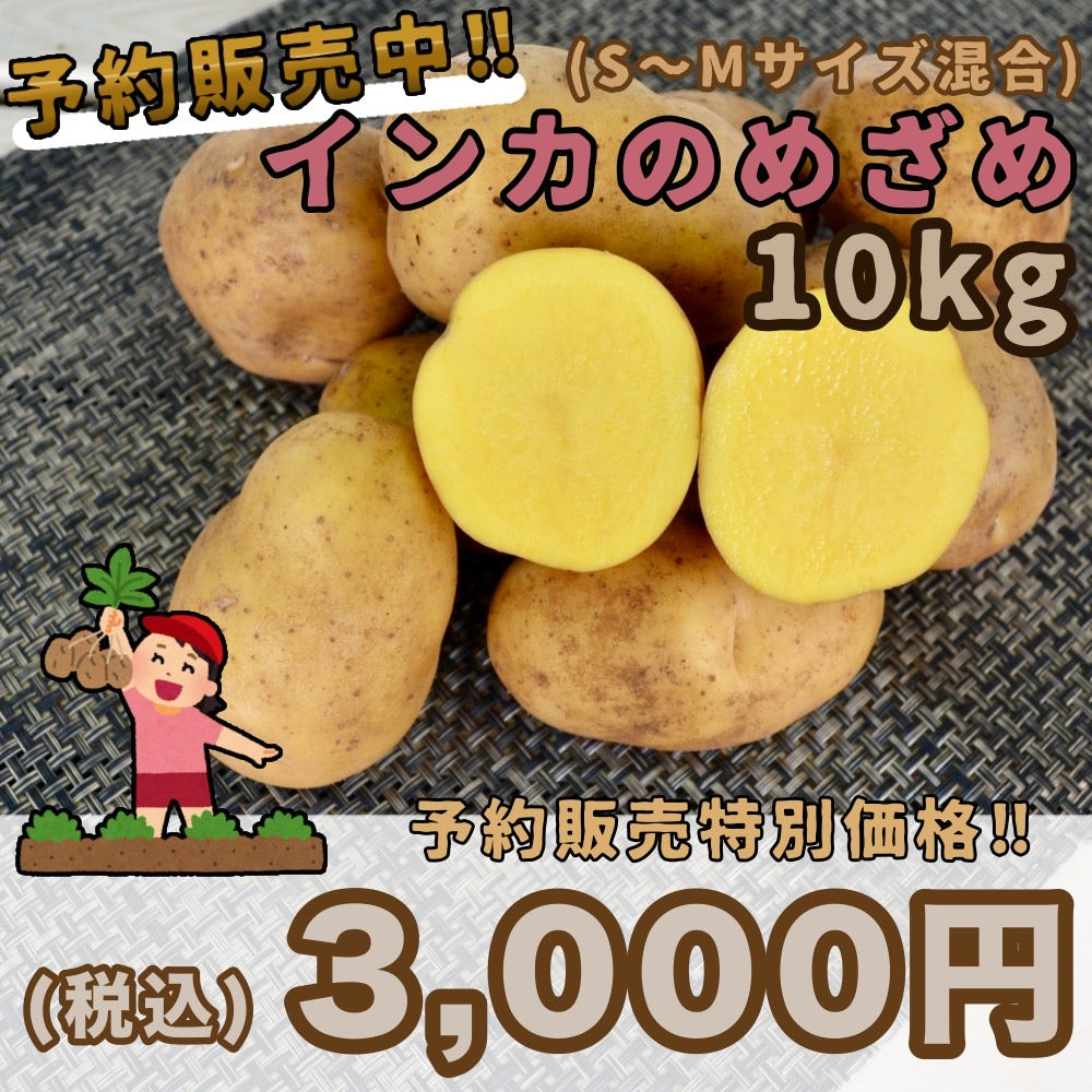 【予約販売中】インカのめざめ（S～Mサイズ混合10kg）