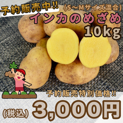 【予約販売中】インカのめざめ（S～Mサイズ混合10kg）