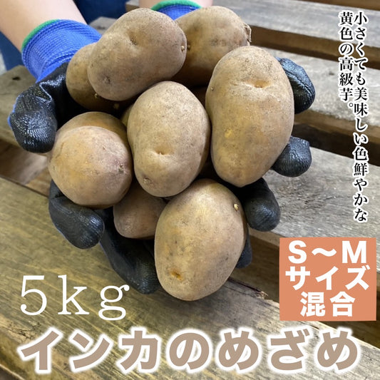 インカのめざめ（S～Mサイズ混合５ｋｇ）