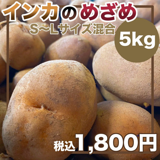 インカのめざめ（S～Lサイズ混合５ｋｇ）