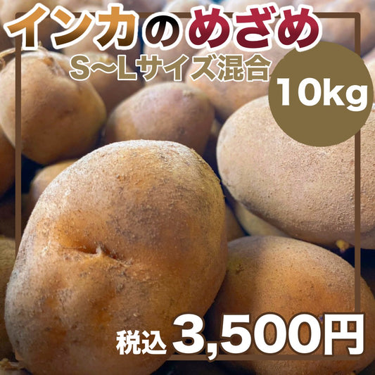 インカのめざめ（S～Lサイズ混合10ｋｇ）